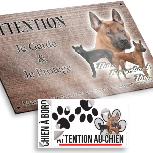plaque attention au chien Trois chiens Thai Ridgeback sur fond coloré