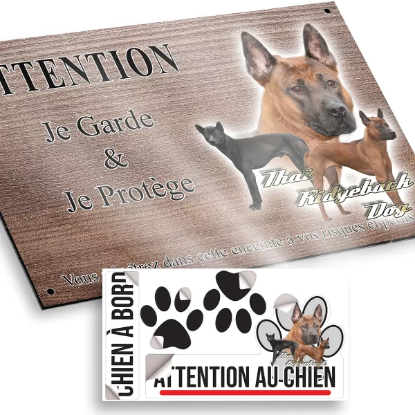 plaque attention au chien Trois chiens Thai Ridgeback sur fond coloré