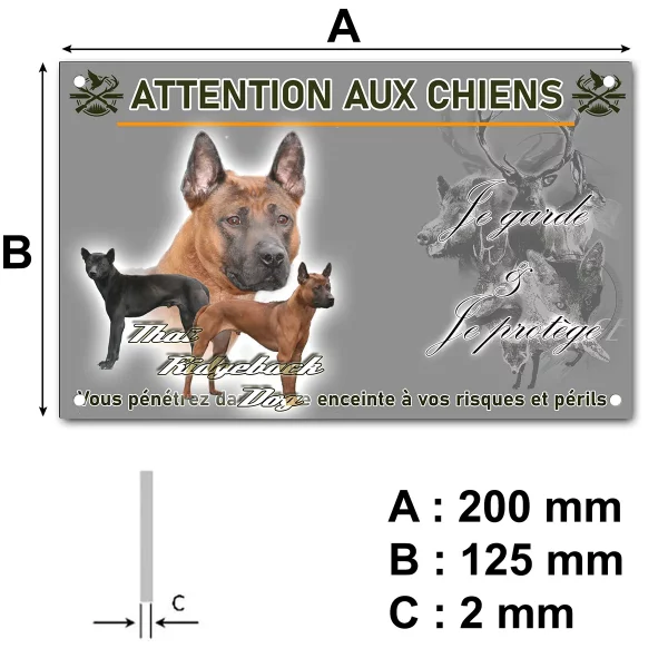 panneau Trois chiens Thai Ridgeback sur fond coloré