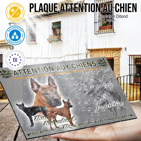 panneau Trois chiens Thai Ridgeback sur fond coloré