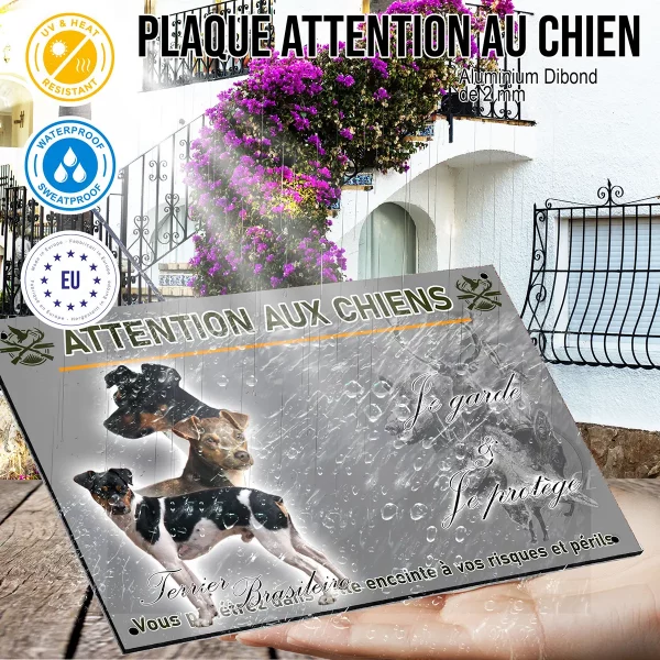 panneau Trois chiens Terrier Brasileiro en différents angles