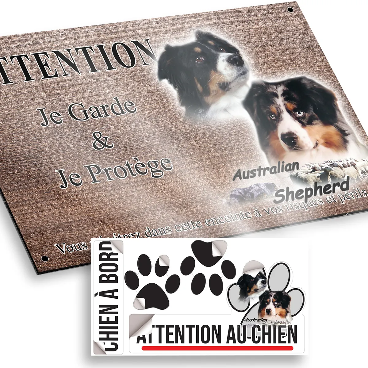plaque attention au chien Portraits de chiens Australian Shepherd avec troupeau de moutons en fond