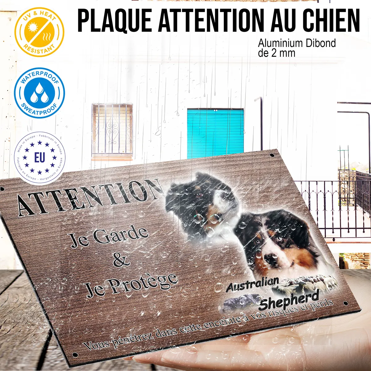 panneau attention au chien Portraits de chiens Australian Shepherd avec troupeau de moutons en fond