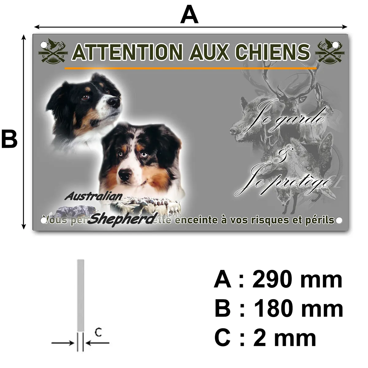 pancarte Portraits de chiens Australian Shepherd avec troupeau de moutons en fond