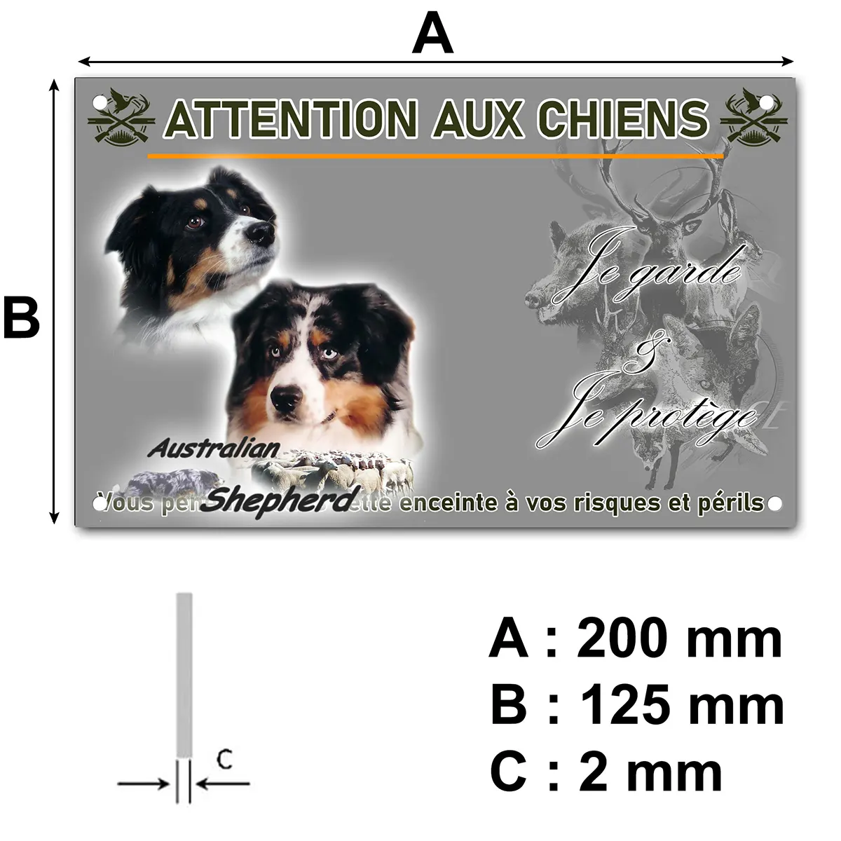 panneau Portraits de chiens Australian Shepherd avec troupeau de moutons en fond