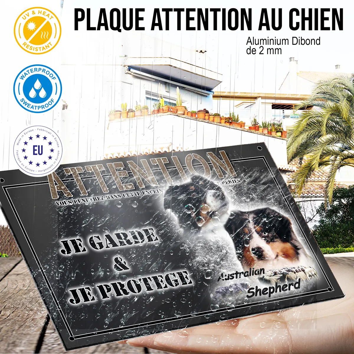 panneau chien de garde Portraits de chiens Australian Shepherd avec troupeau de moutons en fond