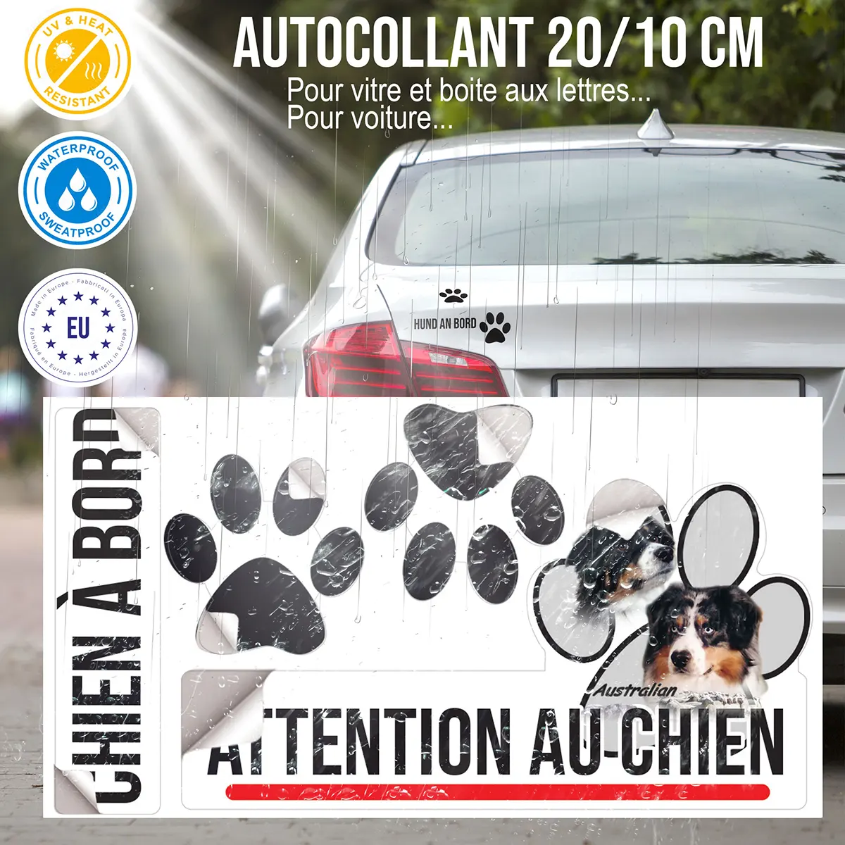 plaque chien de garde Portraits de chiens Australian Shepherd avec troupeau de moutons en fond