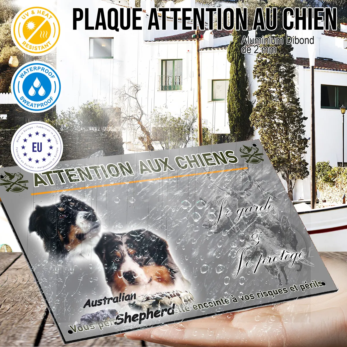 panneau Portraits de chiens Australian Shepherd avec troupeau de moutons en fond