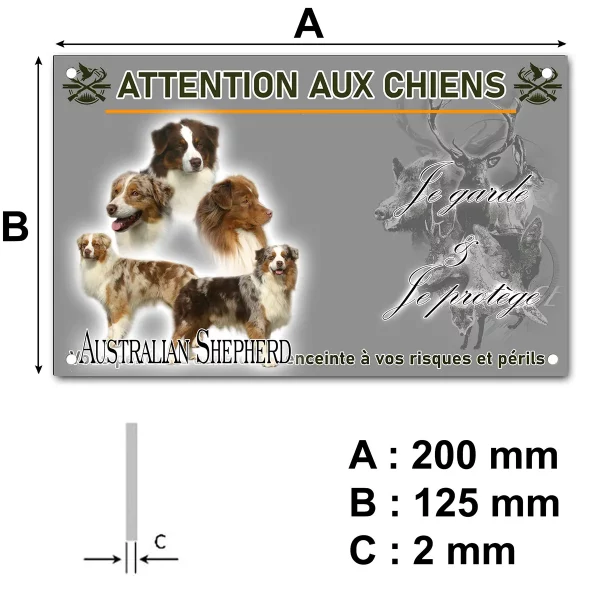 panneau Chien Australian Shepherd aux diverses couleurs.