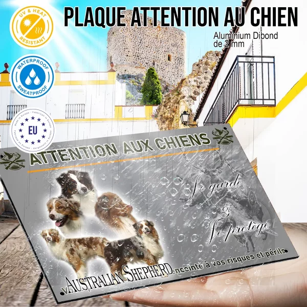 panneau Chien Australian Shepherd aux diverses couleurs.