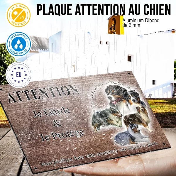 panneau attention au chien Compilation de chiens de race Australian Shepherd