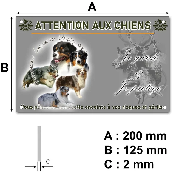 panneau Compilation de chiens de race Australian Shepherd