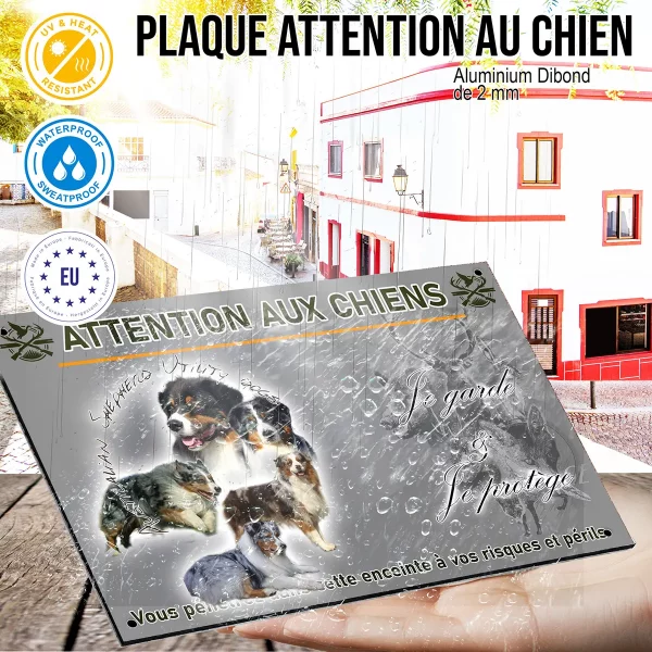 panneau Compilation de chiens de race Australian Shepherd