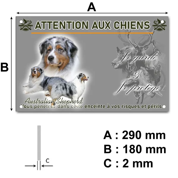 pancarte Trois Australian Shepherds sur fond clair