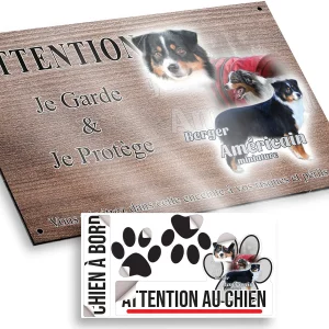 plaque attention au chien Trois chiens Berger Américain Miniature en différentes poses.