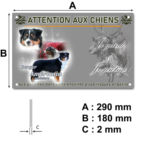 pancarte Trois chiens Berger Américain Miniature en différentes poses.