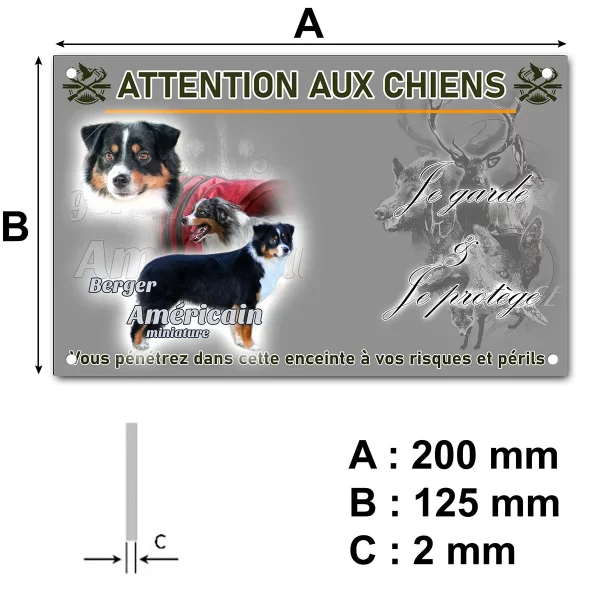 panneau Trois chiens Berger Américain Miniature en différentes poses.
