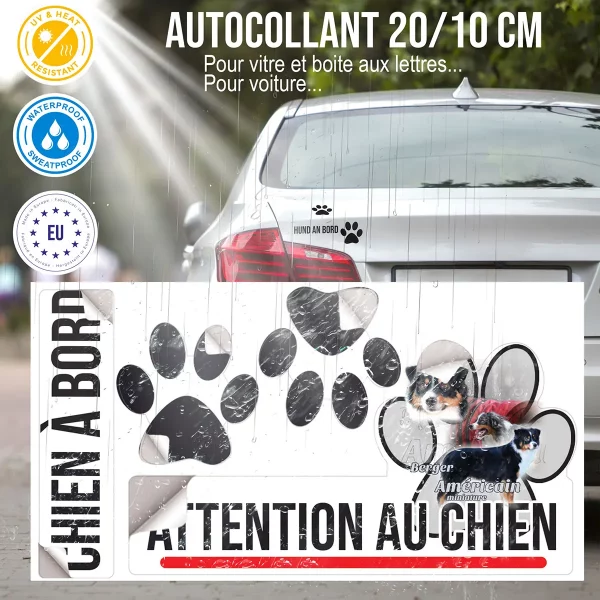plaque chien de garde Trois chiens Berger Américain Miniature en différentes poses.