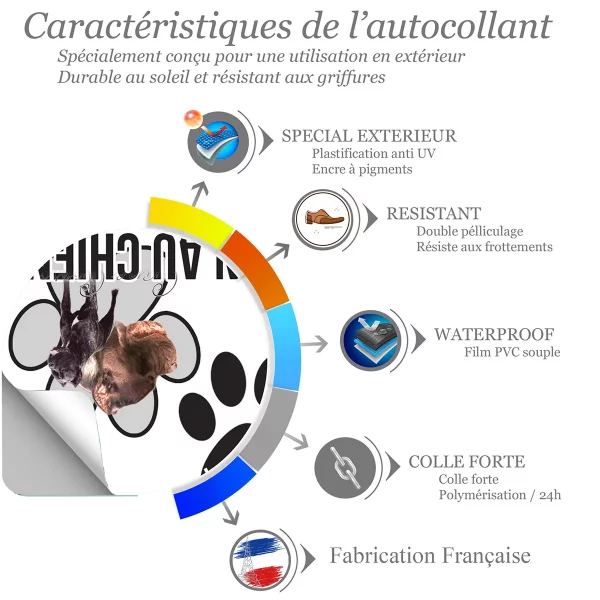 chien a bord Cane Corso dog portrait with text