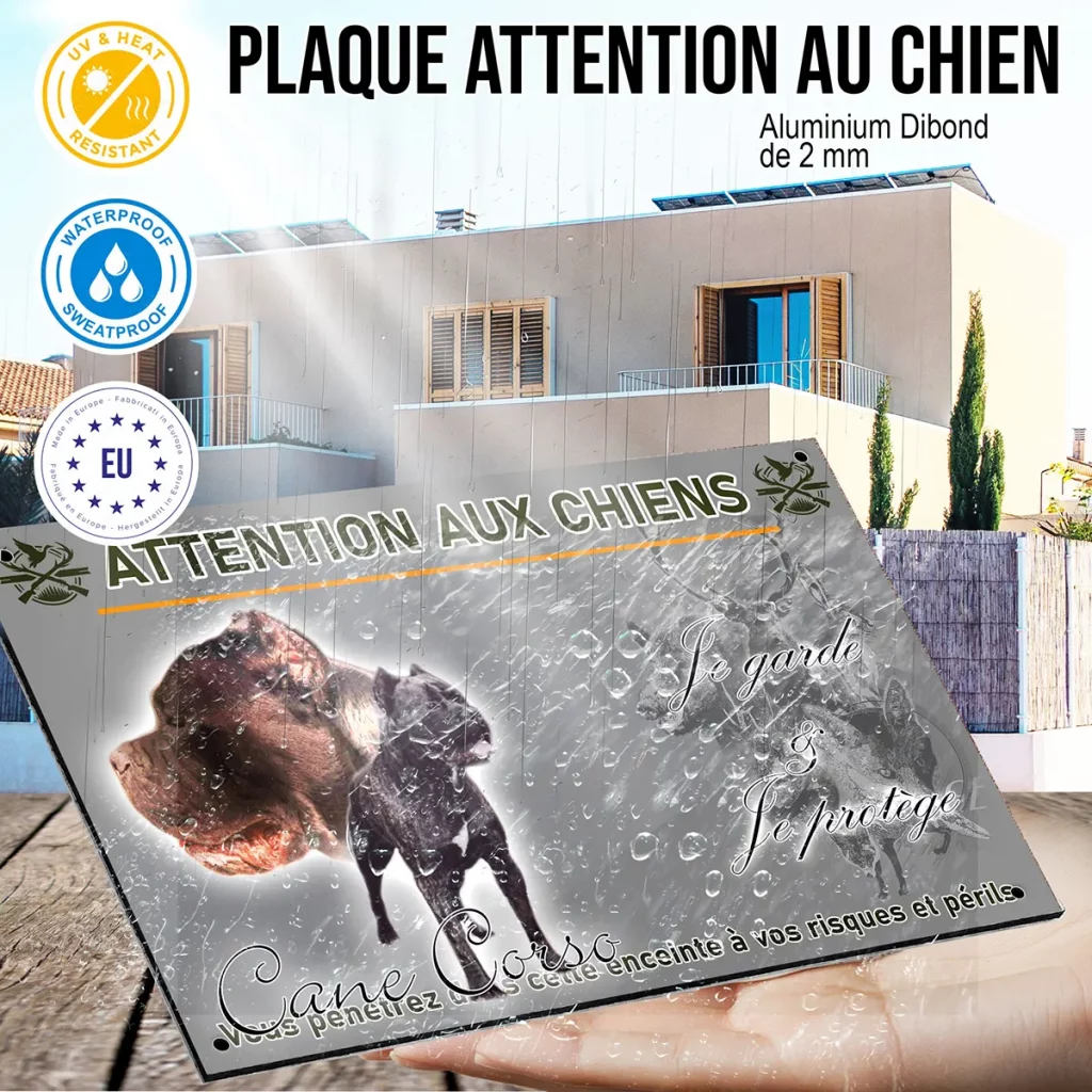 panneau Cane Corso dog portrait with text