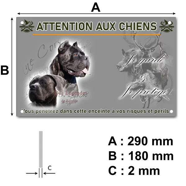 pancarte Deux Cane Corso en portrait avec une pose fière
