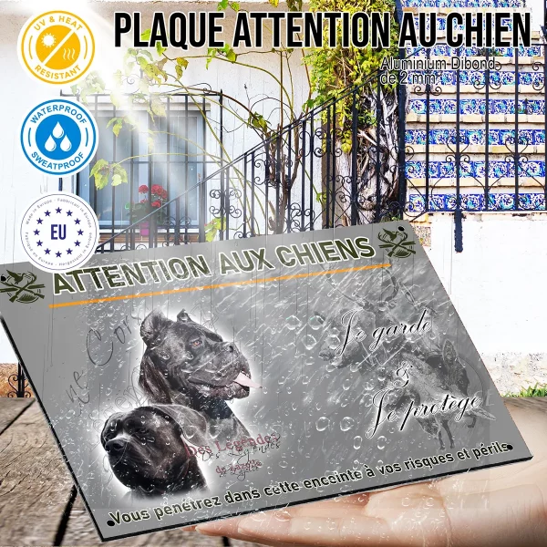 panneau Deux Cane Corso en portrait avec une pose fière