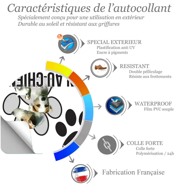 chien a bord Image de Jack Russell Terrier