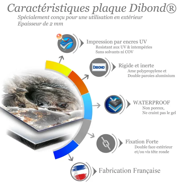 je monte la garde Visuel de Dogo Canario avec plusieurs chiens