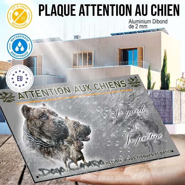 panneau Visuel de Dogo Canario avec plusieurs chiens