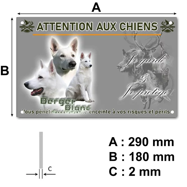 pancarte Trois images de Berger Blanc Suisse sur fond transparent