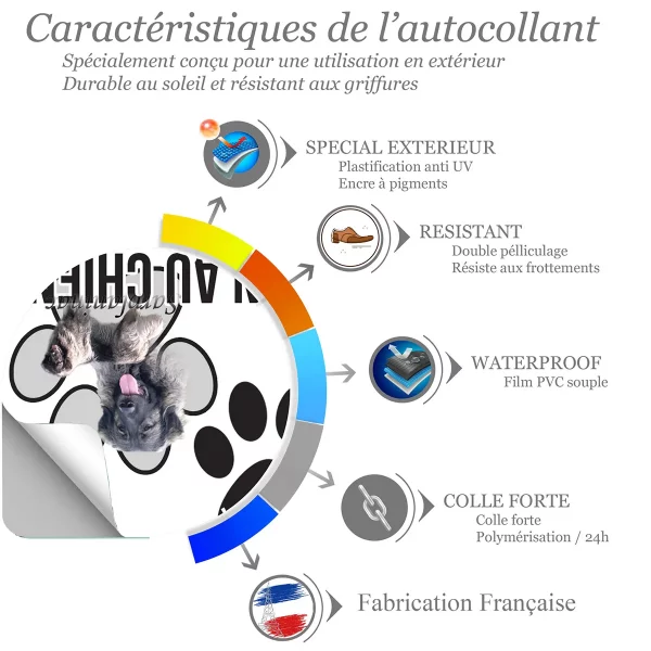 chien a bord Chien Sarplaninac avec un gros plan sur la tête et un profil