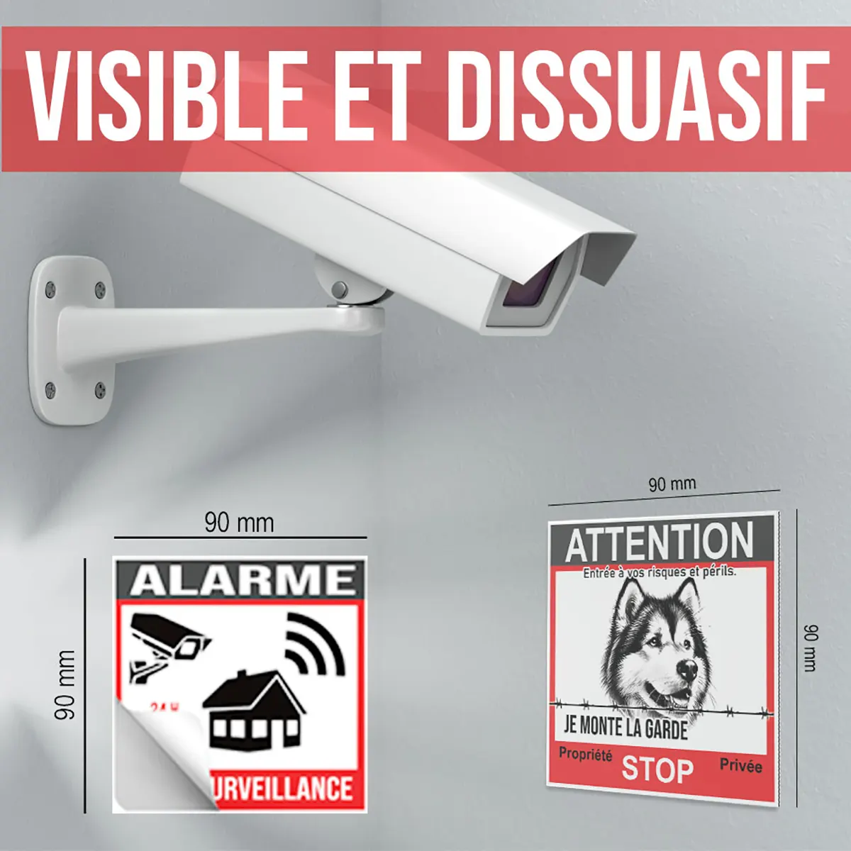 Panneau Chien De Garde avec un Malamute et une caméra de surveillance à côté.