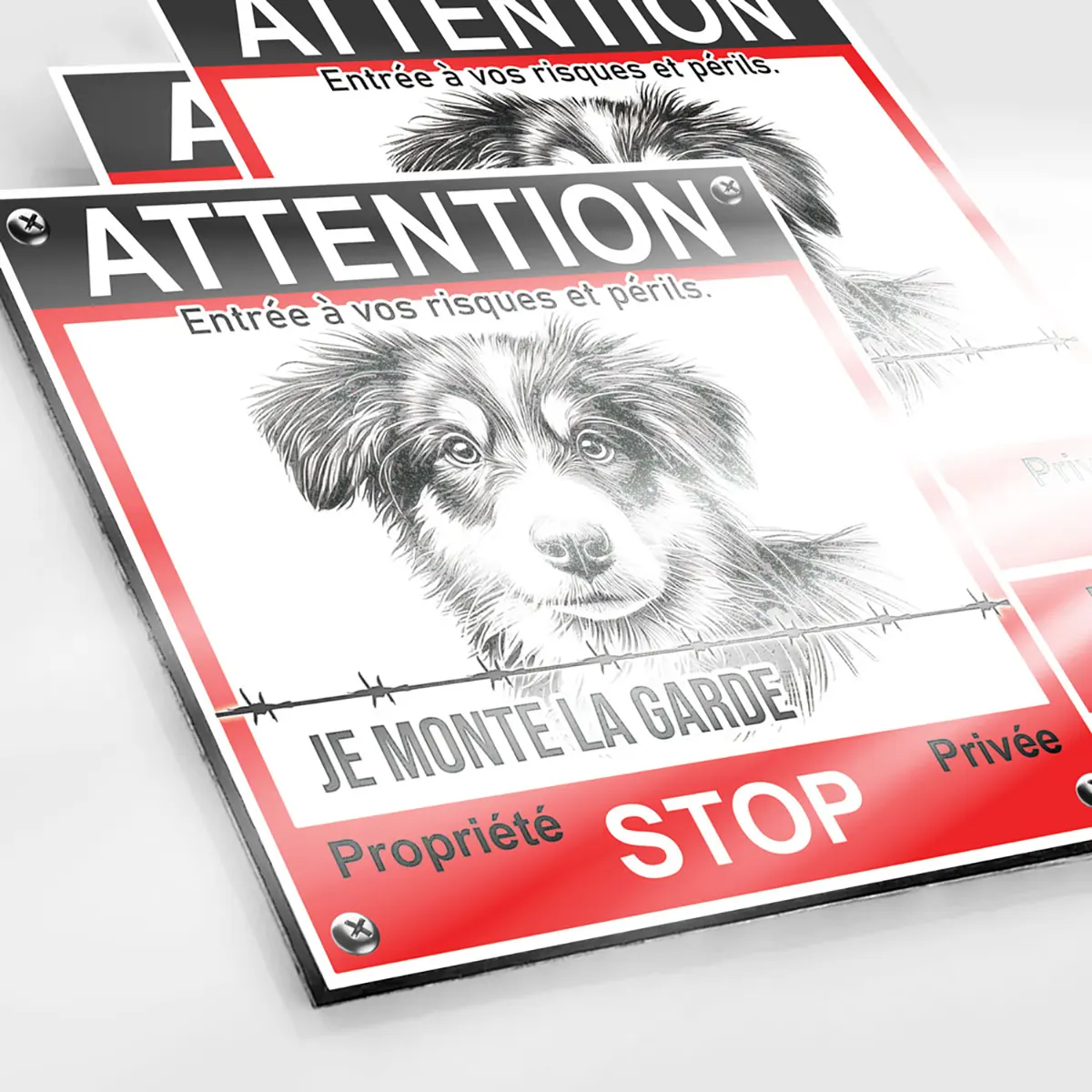 Attention Au Chien Humoristique