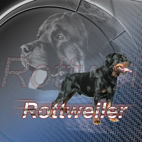 Dessin de rott, motif 147-02 pour plaque attention au chien