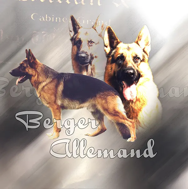 Dessin de berger allemand, motif 166-01 pour plaque attention au chien