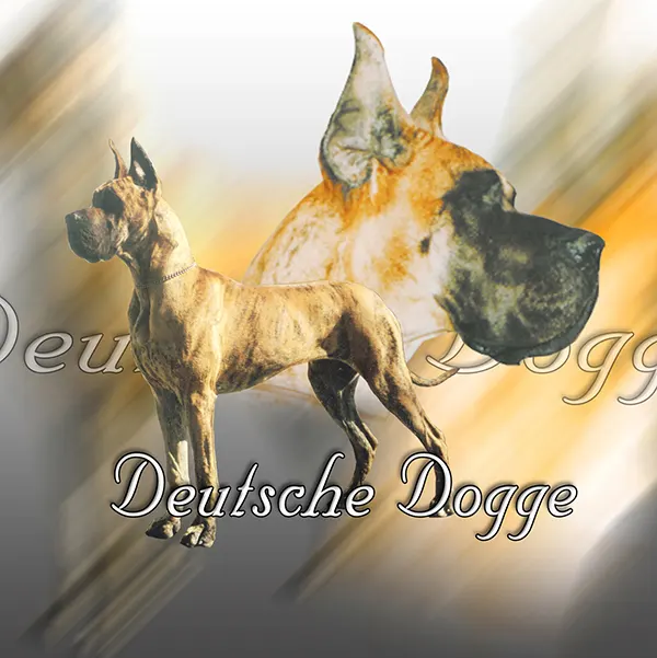 Dessin de grand danois, motif 235-06 pour plaque attention au chien