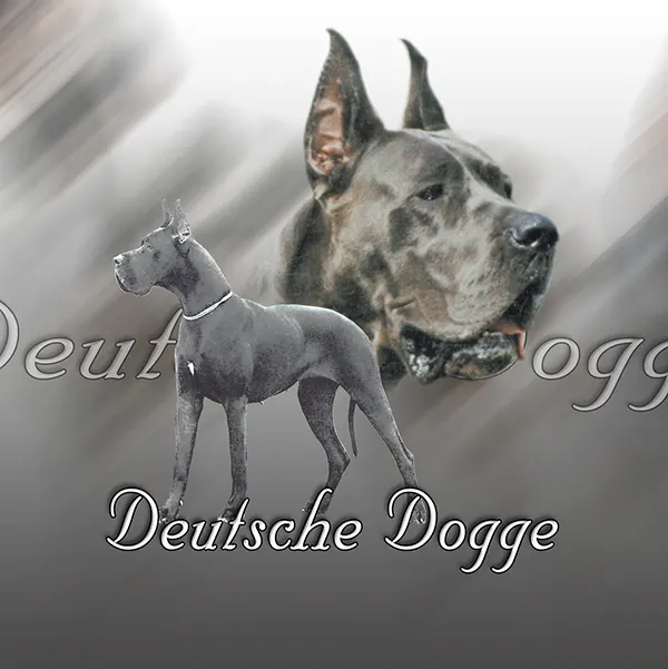 Dessin de chien dogue allemand, motif 235-08 pour plaque attention au chien