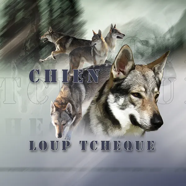 Dessin de chien-loup, motif 332-02 pour plaque attention au chien