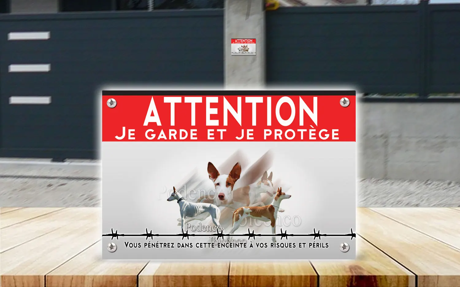 Plaque attention au chien podenco d'Ibiza en dibond 2 mm, posée sur un portail