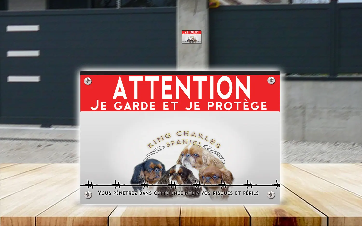 Plaque attention au chien king charles spaniel en dibond 2 mm, posée sur un portail