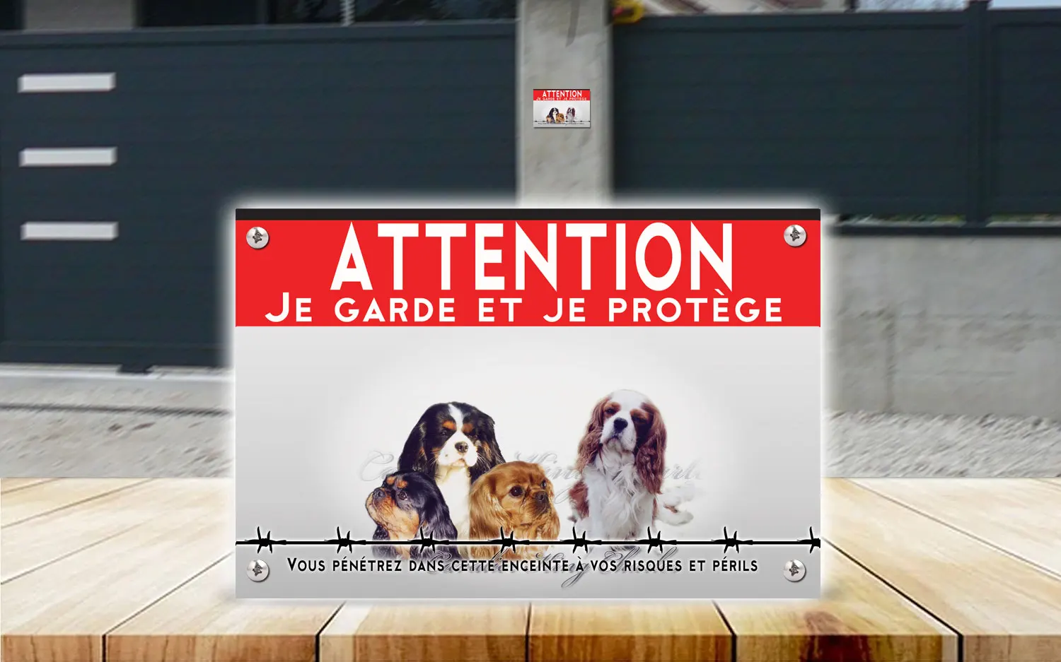 Plaque attention au chien cavalier king charles spaniel en dibond 2 mm, posée sur un portail