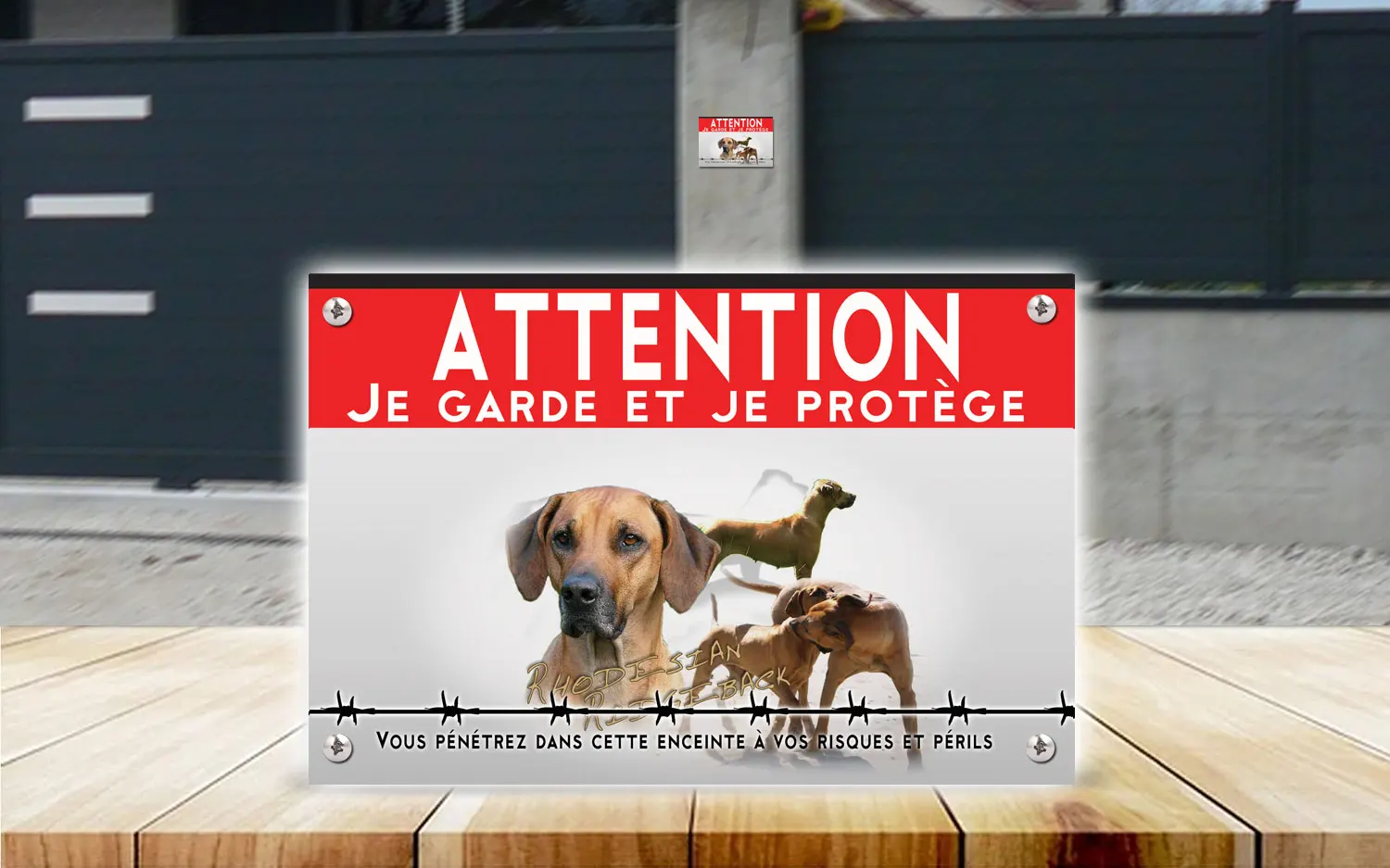 Plaque attention au chien rhodesian ridgeback en dibond 2 mm, posée sur un portail