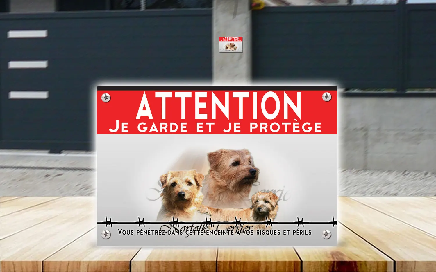 Plaque attention au chien norfolk terrier en dibond 2 mm, posée sur un portail
