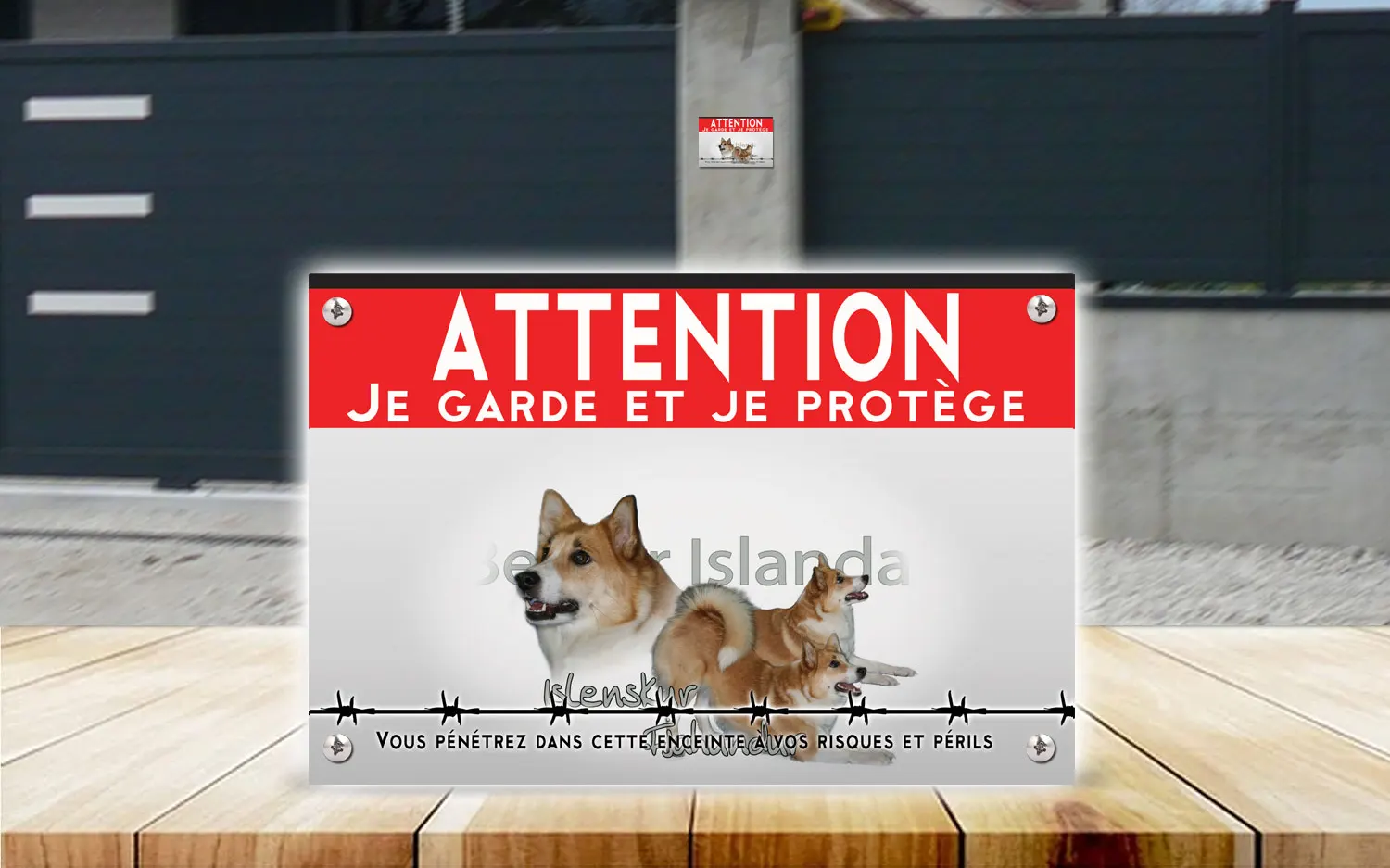 Plaque attention au chien berger islandais en dibond 2 mm, posée sur un portail