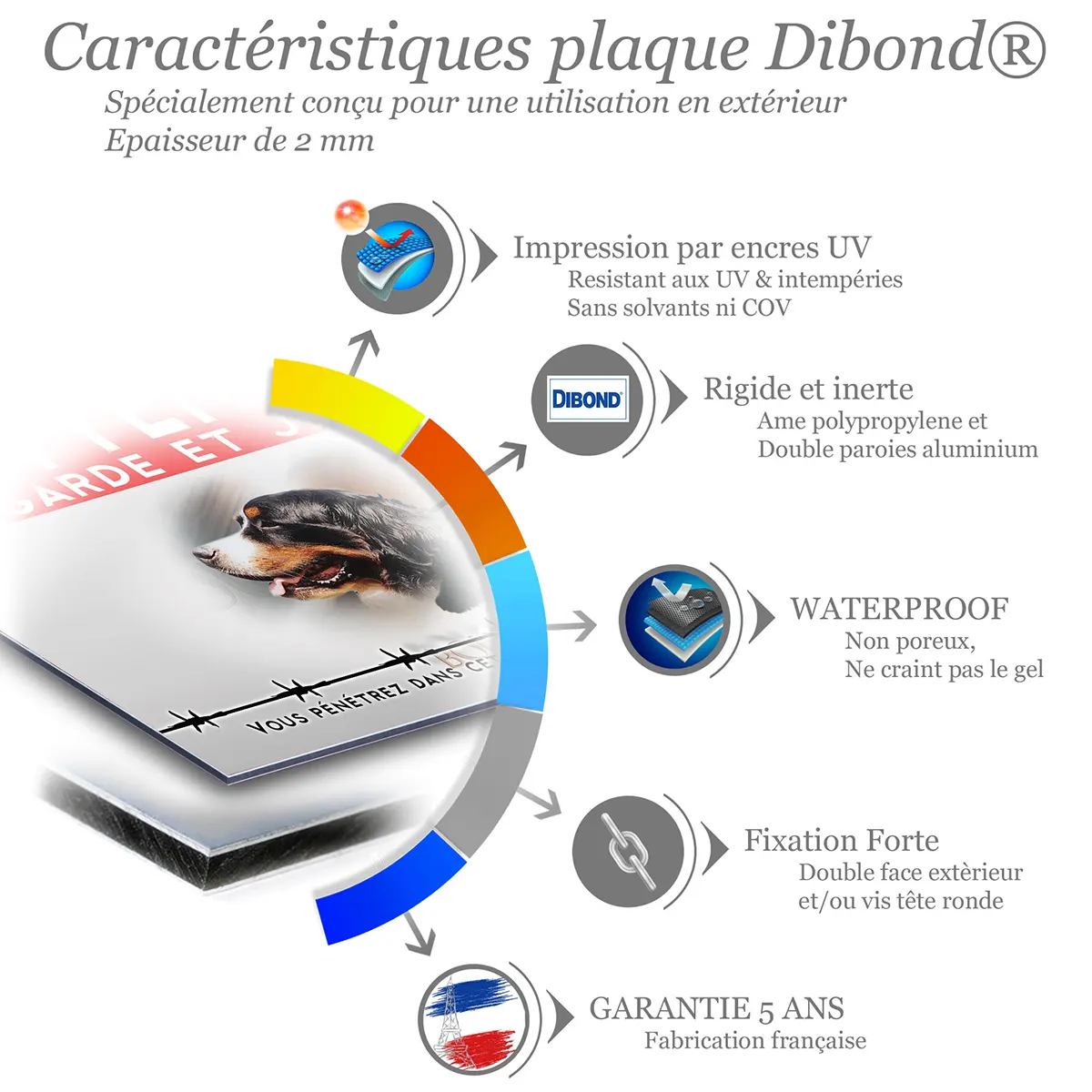 Caractéristiques de la plaque attention au chien bouvier bernois : dibond 2 mm, impression UV, garantie 5 ans