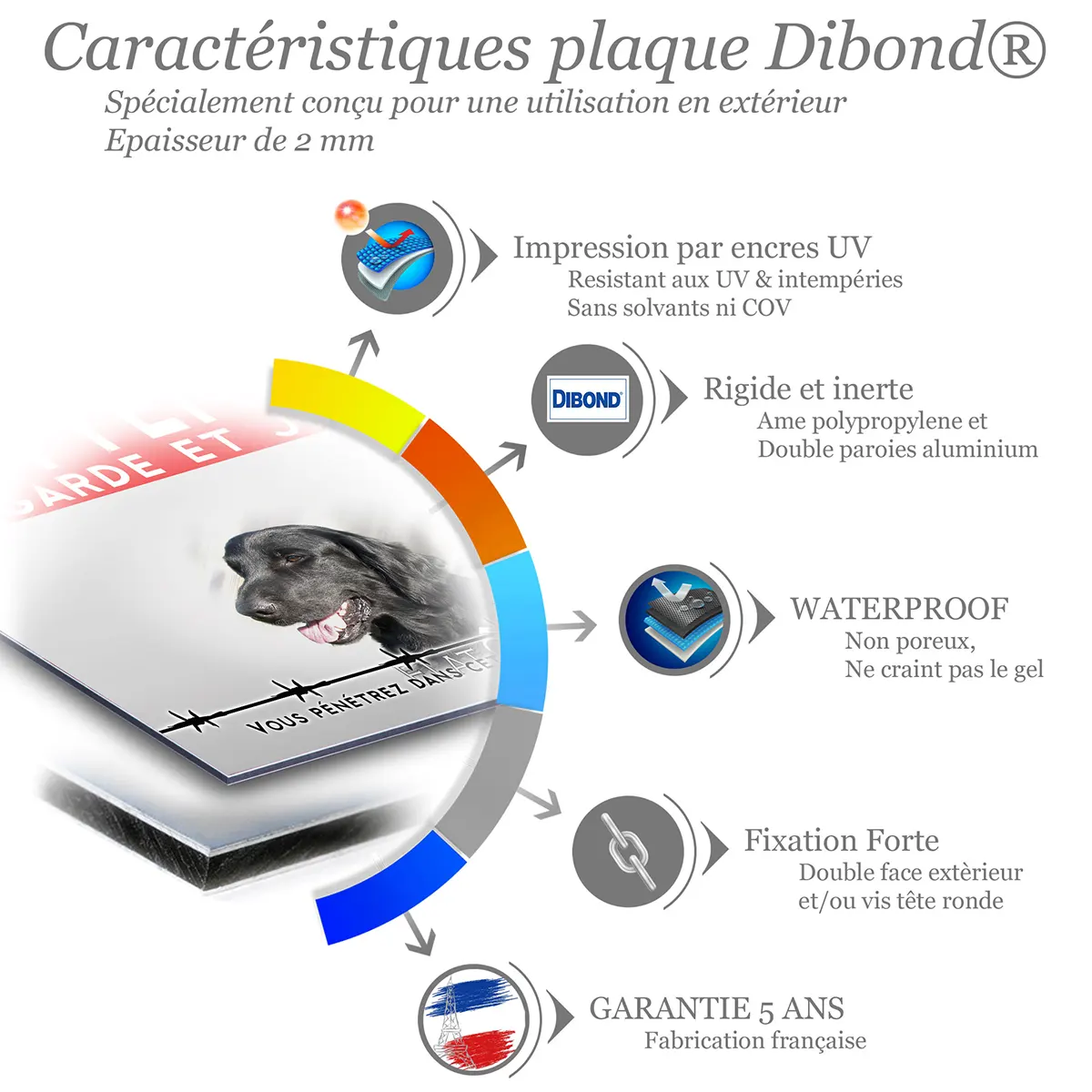 Caractéristiques de la plaque attention au chien retriever à poil plat : dibond 2 mm, impression UV, garantie 5 ans