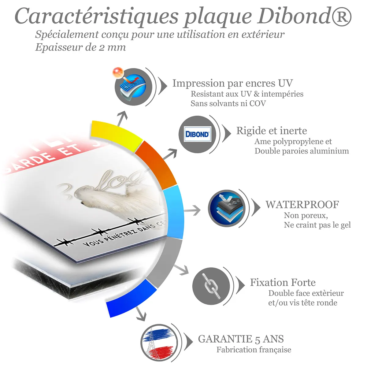 Caractéristiques de la plaque attention au chien bichon bolonais : dibond 2 mm, impression UV, garantie 5 ans