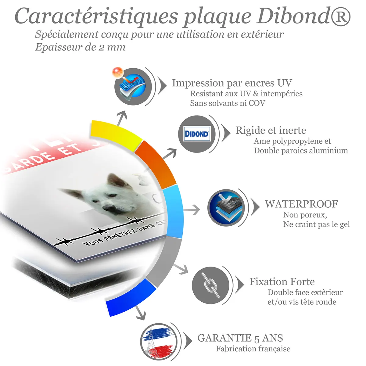 Caractéristiques de la plaque attention au chien chien de Canaan : dibond 2 mm, impression UV, garantie 5 ans