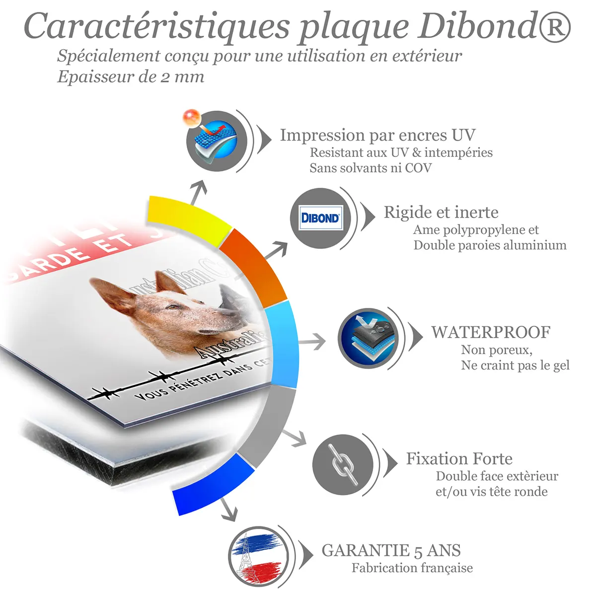 Caractéristiques de la plaque attention au chien bouvier australien : dibond 2 mm, impression UV, garantie 5 ans