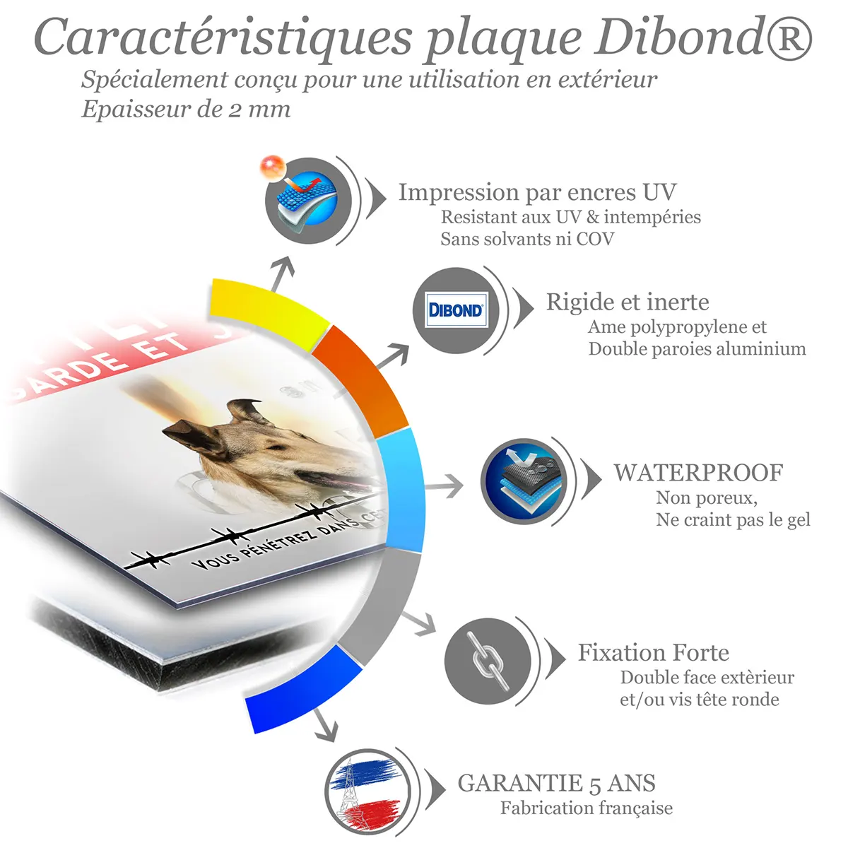 Caractéristiques de la plaque attention au chien colley à poil court : dibond 2 mm, impression UV, garantie 5 ans